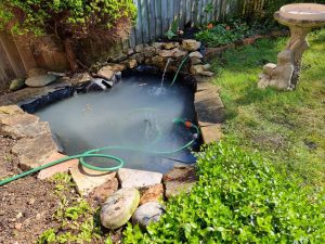 Home 5 Aqua Pond, Pond Cleaning, Pond Repair, Pond Maintenance