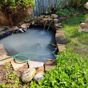 Aqua Pond Ltd | Pond Cleaning, Maintenance and Repairs Aqua Pond Ltd | Pond Cleaning Maintenance and Repairs