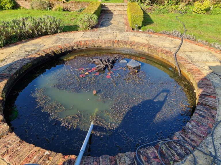How to Maintain Healthy Pond Oxygen Levels for Vibrant Aquatic Life 1 Aqua Pond, Pond Cleaning, Pond Repair, Pond Maintenance