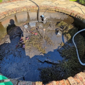 Aqua Pond Ltd | Pond Cleaning, Maintenance and Repairs Aqua Pond Ltd | Pond Cleaning Maintenance and Repairs