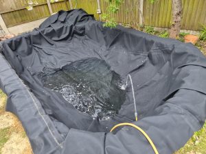 How Can I Get Rid of the Blanket Weed in My Pond? Effective Strategies and Solutions 9 Aqua Pond, Pond Cleaning, Pond Repair, Pond Maintenance