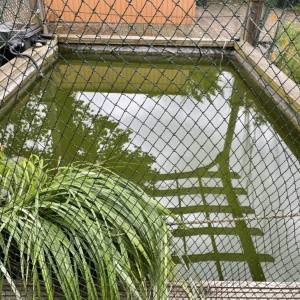 Aqua Pond Ltd | Pond Cleaning, Maintenance and Repairs Aqua Pond Ltd | Pond Cleaning Maintenance and Repairs
