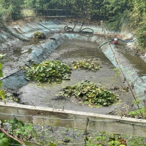 Aqua Pond Ltd | Pond Cleaning, Maintenance and Repairs Aqua Pond Ltd | Pond Cleaning Maintenance and Repairs