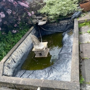 Aqua Pond Ltd | Pond Cleaning, Maintenance and Repairs Aqua Pond Ltd | Pond Cleaning Maintenance and Repairs