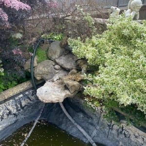 Aqua Pond Ltd | Pond Cleaning, Maintenance and Repairs Aqua Pond Ltd | Pond Cleaning Maintenance and Repairs