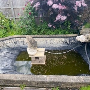 Aqua Pond Ltd | Pond Cleaning, Maintenance and Repairs Aqua Pond Ltd | Pond Cleaning Maintenance and Repairs