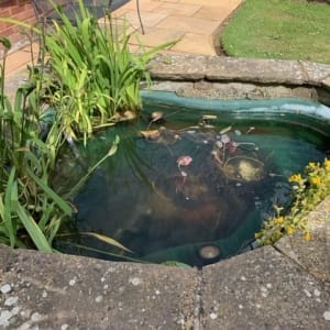 Aqua Pond Ltd | Pond Cleaning, Maintenance and Repairs Aqua Pond Ltd | Pond Cleaning Maintenance and Repairs