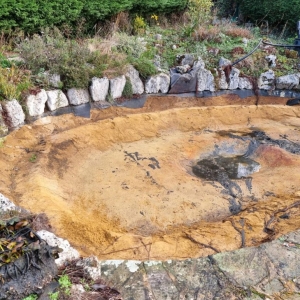 Aqua Pond Ltd | Pond Cleaning, Maintenance and Repairs Aqua Pond Ltd | Pond Cleaning Maintenance and Repairs