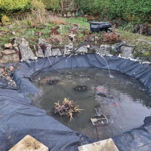 Aqua Pond Ltd | Pond Cleaning, Maintenance and Repairs Aqua Pond Ltd | Pond Cleaning Maintenance and Repairs