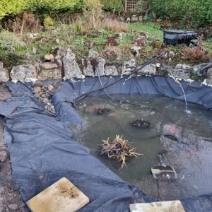 Aqua Pond Ltd | Pond Cleaning, Maintenance and Repairs Aqua Pond Ltd | Pond Cleaning Maintenance and Repairs