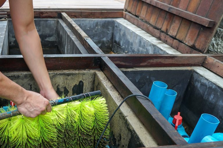 How to Maintain Healthy Pond Oxygen Levels for Vibrant Aquatic Life 1 Aqua Pond, Pond Cleaning, Pond Repair, Pond Maintenance