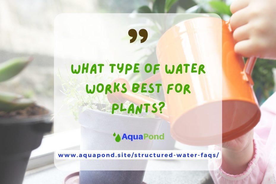 What type of water works best for plants