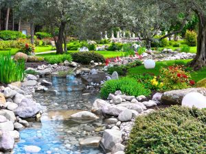 Golden Rudd Care in a Pond: Essential Tips for Thriving Aquatic Pets 8 Revitalize Your Pond Today with Our Expert Cleaning Services!