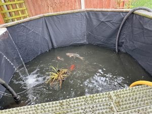 Oase Aquamax Eco Premium Pump: Efficient Solutions for Water Management 6 Box Welded Pond Liners: The Ultimate Solution for Durable Water Containment