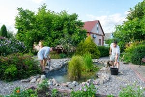 Aqua Pond Ltd: Expert Pond Maintenance Services from a Professional Contractor Near You 8 Pricing for Pond Cleaning: Understanding Costs and Services