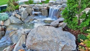 Pond Plants: A Beginner's Guide to Planting Your Garden Pond Effectively 4 How to Install a Waterfall or Stream: A Step-by-Step Guide for Your Garden