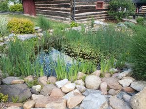Do Ponds Need Water Changes? Understanding Maintenance for Healthy Ecosystems 6 Professional Pond Cleaning Services