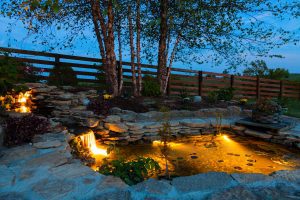 Effective Ways on How to Remove Algae from Your Pond 8 pond lighting