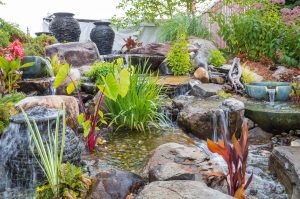 How to keep a pond clean without a pump or filter: Natural methods for crystal-clear water 6 How to Create a Clean and Clear Ecosystem Pond: Essential Steps for Success