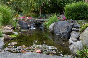 How Can I Get Rid of the Blanket Weed in My Pond? Effective Strategies and Solutions 7 How To Build An Ecosystem Pond: A Step-By-Step Guide for Beginners