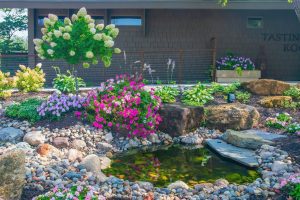 How To De-Chlorinate Pond Water: Effective Methods for Healthy Aquatic Life 7 Planting Suggestions for Around a New Pond to Enhance Landscape and Wildlife