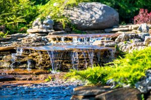 Pond Plants: A Beginner's Guide to Planting Your Garden Pond Effectively 3 What Is A Biofalls and Why Does Your Pond Need It?