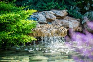 How to Keep Koi from Eating Your Pond Plants: Top Tips and Tricks 9 Disappearing Waterfall