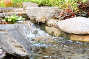 Mastering Ammonia and Nitrite Management in Koi Ponds: A Comprehensive Guide 7 Ecosystem Pond: Essential Maintenance