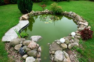 Oase Aquamax Eco Premium Pump: Efficient Solutions for Water Management 8 Pond Care Service