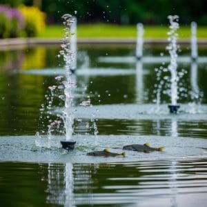 Top Reasons to Hire a Pond Expert for Your Garden: Unlocking Professional Insights for Optimal Results 6 Benefits and Best Practices for Using Jets in Your Pond: Enhance Aeration and Aesthetics