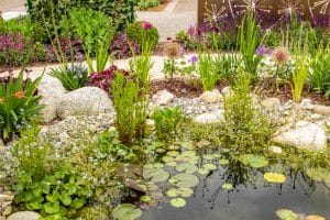 Should I Winterize My Pond? Essential Steps for Cold Weather Protection 6 How to Make a Wildlife Pond: A Step-by-Step Guide for Beginners