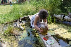 How to Install a Preformed Pond: A Step-by-Step Guide for Garden Enthusiasts 8 A Guide to Pond Dipping: Essential Tips and Insights for Beginners