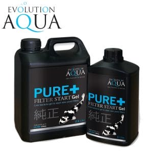 How Do I Know When to Stop Feeding My Fish for the Winter? Essential Guidance for Pond Owners 5 Filter Bacteria Kickstarter: Revolutionising Water Purification Solutions